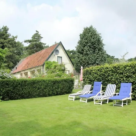 Bonte Specht * Schoorl