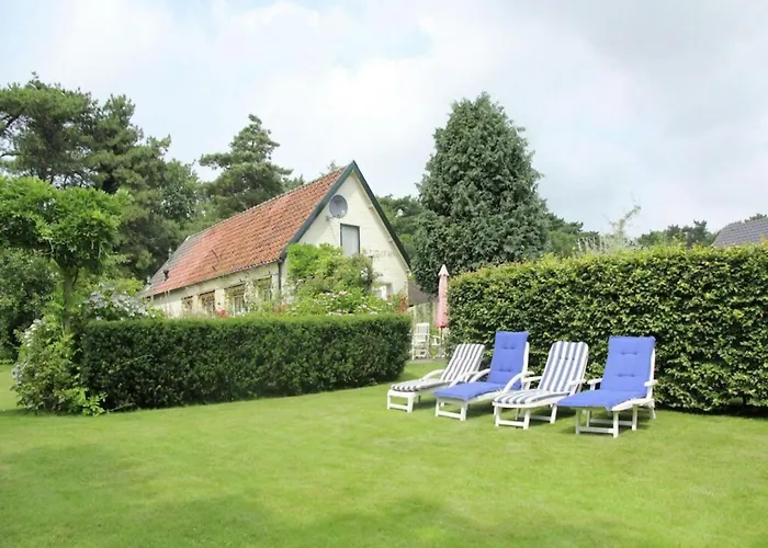 Bonte Specht * Схорл